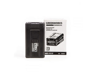 Greenworks GL500